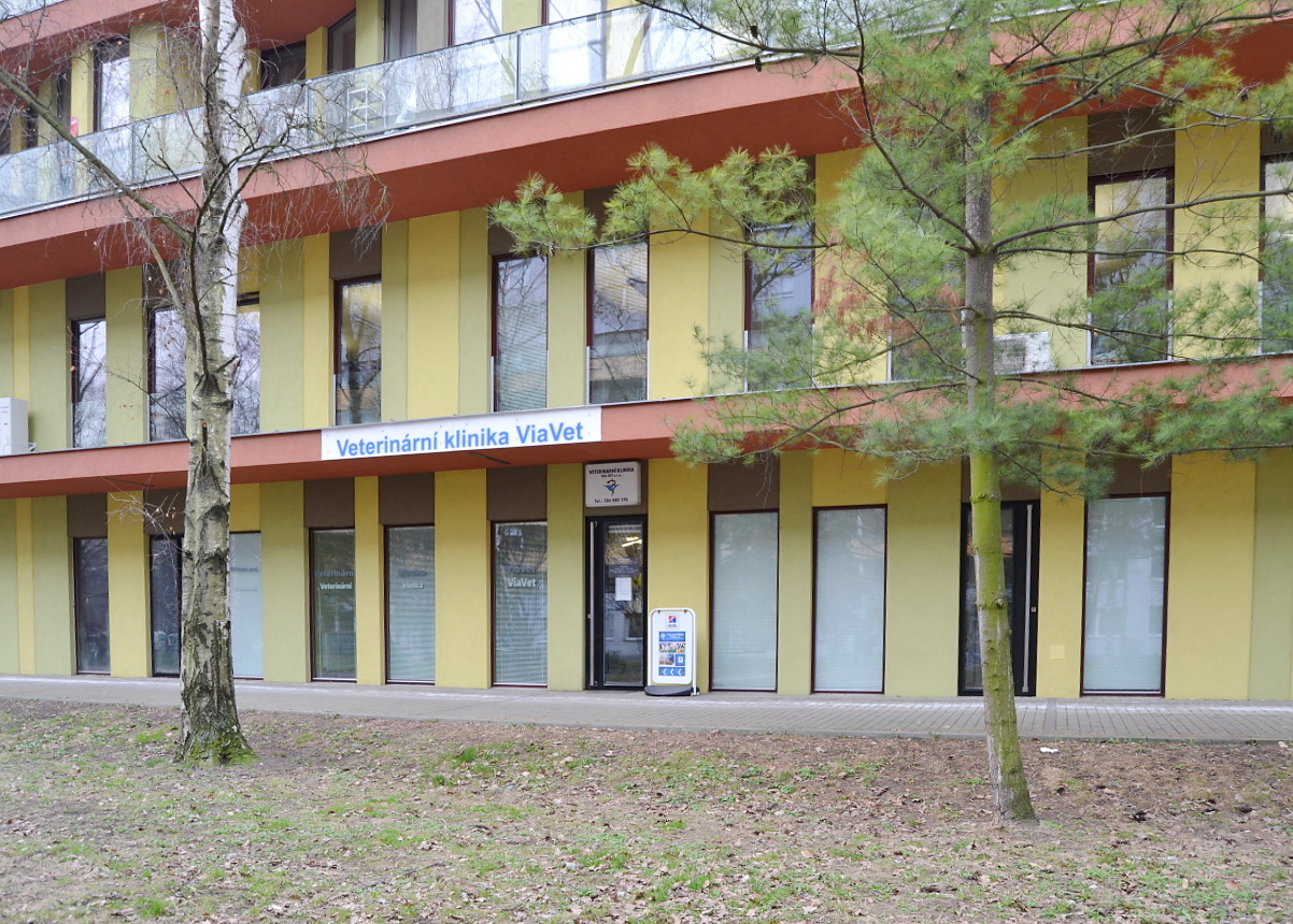 Klidný a moderní interiér veterinární ordinace