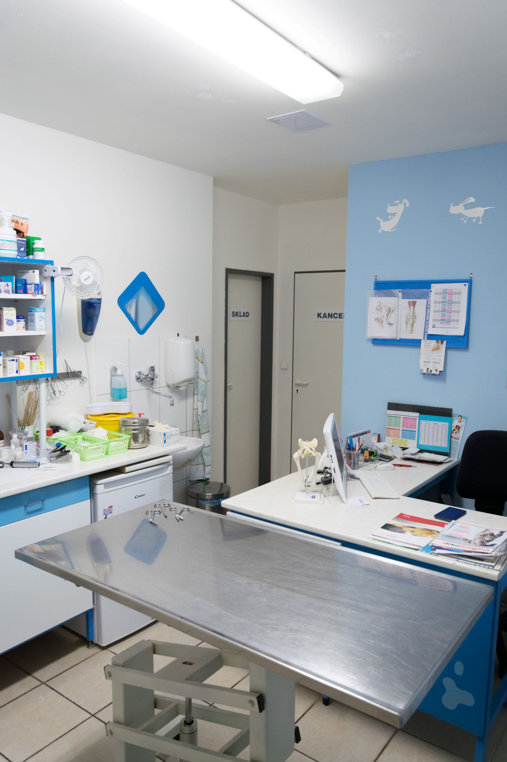 Interiér veterinární ordinace ViaVet